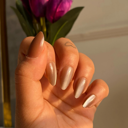 Spiced Latte Glaze & Petal Dew Almond, Velvet Cat-Eye Press On Nails Combo (Set Of 24 each)