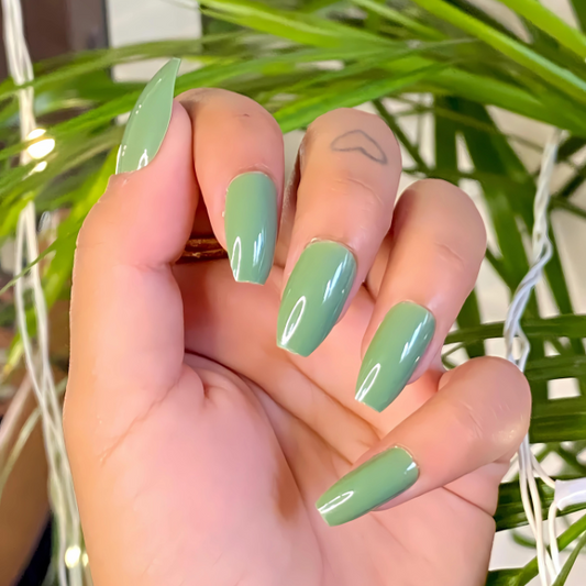 Sage Oasis Medium Coffin High-Shine Press On Nails