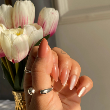 Spiced Latte Glaze & Petal Dew Almond, Velvet Cat-Eye Press On Nails Combo (Set Of 24 each)