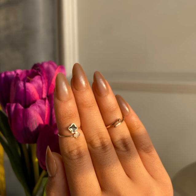 Spiced Latte Glaze & Petal Dew Almond, Velvet Cat-Eye Press On Nails Combo (Set Of 24 each)