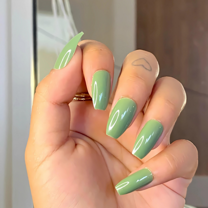 Sage Oasis Medium Coffin High-Shine Press On Nails